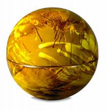 Urna Pet serie Fantasy SF-122